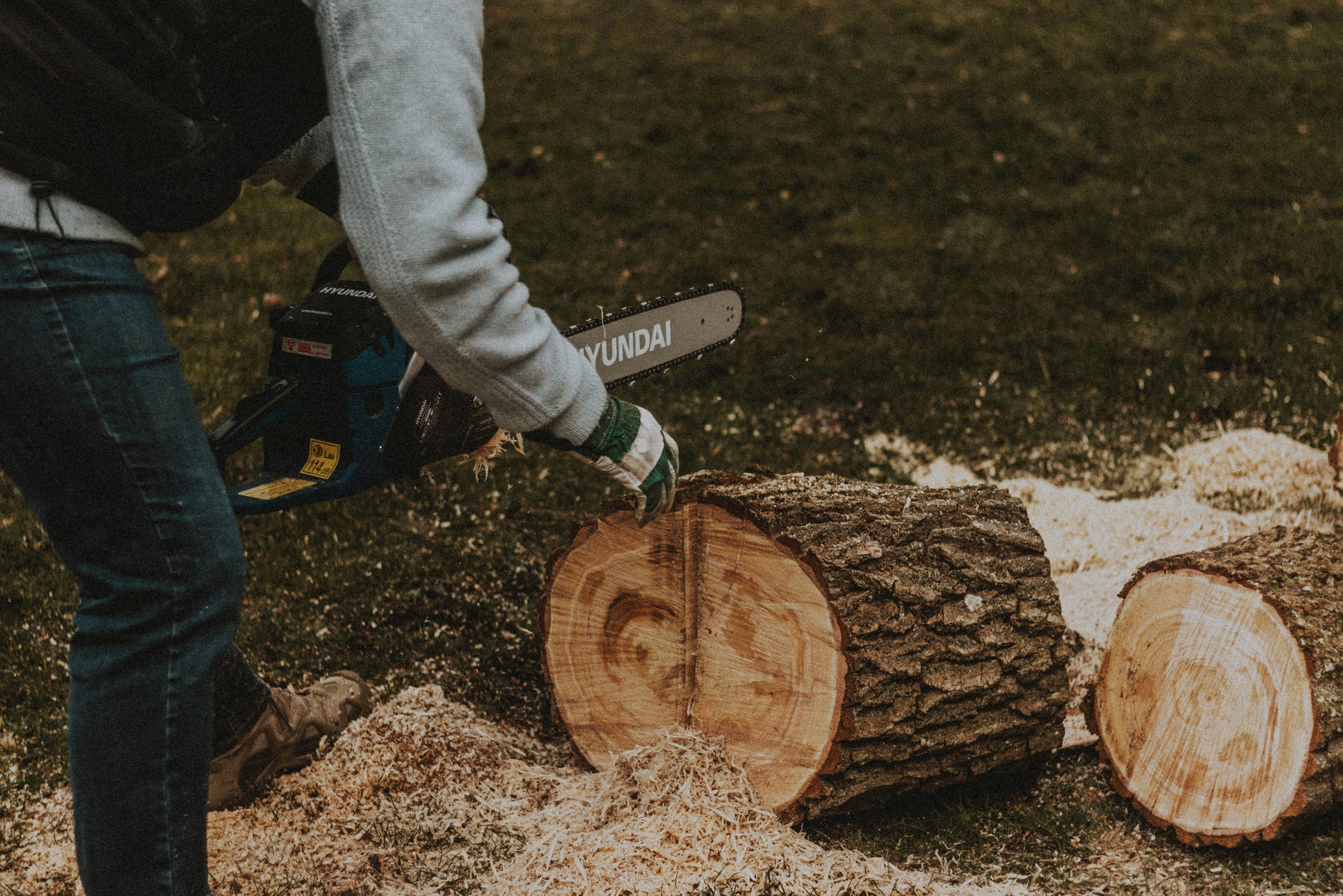 mathias reding tel7jtbydy8 unsplash